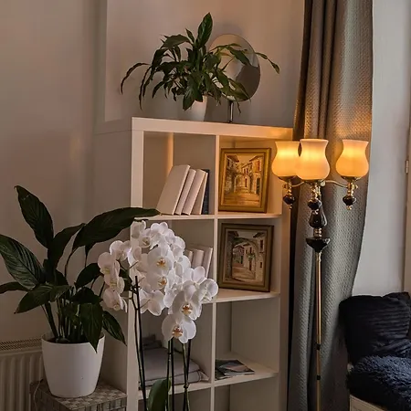 Complete Old Town Sanctuary - Dual Appartement Riga