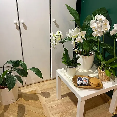 Complete Old Town Sanctuary - Dual Appartement